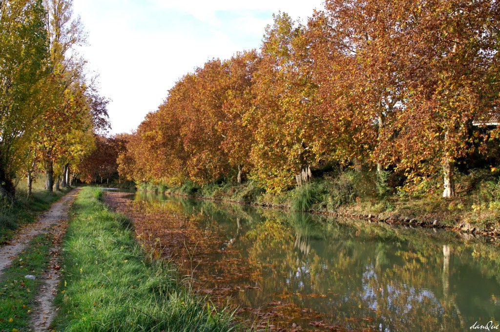 Wallpapers Trips : Europ France > Languedoc-Roussillon Canal du Midi