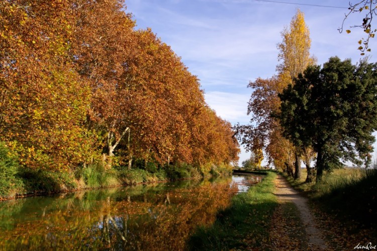 Wallpapers Trips : Europ France > Languedoc-Roussillon Canal du Midi