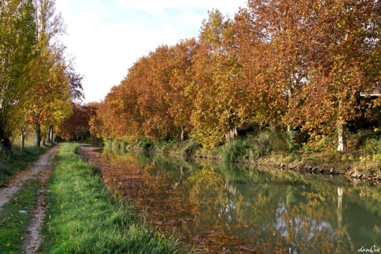 Wallpapers Trips : Europ France > Languedoc-Roussillon Canal du Midi