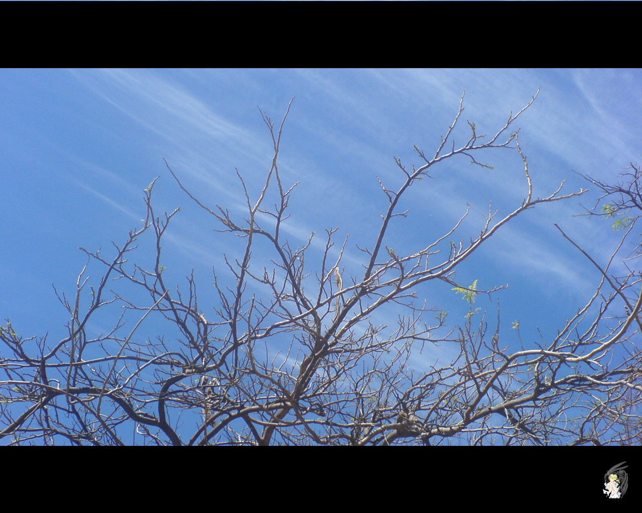 Wallpapers Nature Skies - Clouds Ciel & Nuage