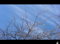 Fonds d'cran Nature Ciel & Nuage