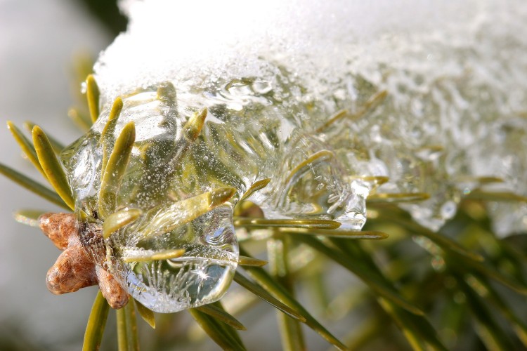 Fonds d'cran Nature Saisons - Hiver Glaon