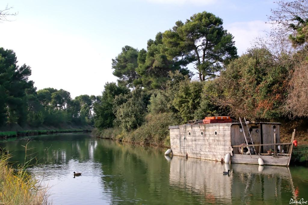 Wallpapers Trips : Europ France > Languedoc-Roussillon Canal du Midi