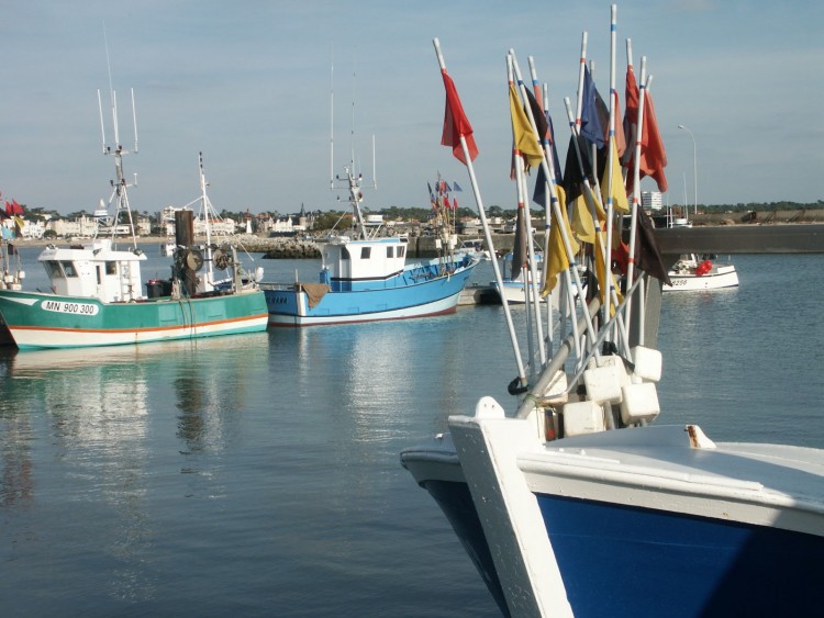 Fonds d'cran Bateaux Bateaux de pche Bateau de peche