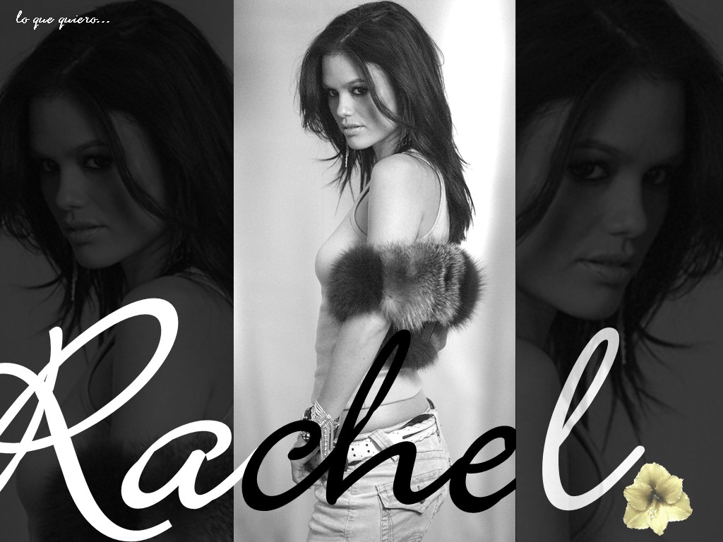 Fonds d'cran Clbrits Femme Rachel Bilson 