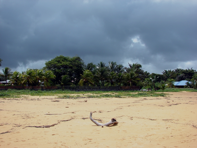 Fonds d'cran Voyages : Amrique du sud Guyane Plage de Guyane