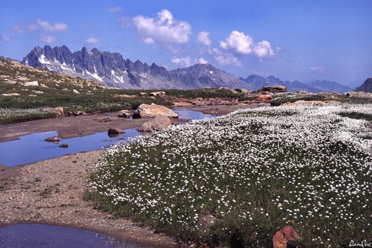 Fonds d'cran Voyages : Europe France > Rhne-Alpes Plateau des Rousses