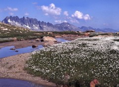 Fonds d'cran Voyages : Europe Plateau des Rousses