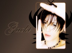 Fonds d'cran Musique Gackt