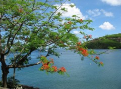 Fonds d'cran Nature plage de malendure