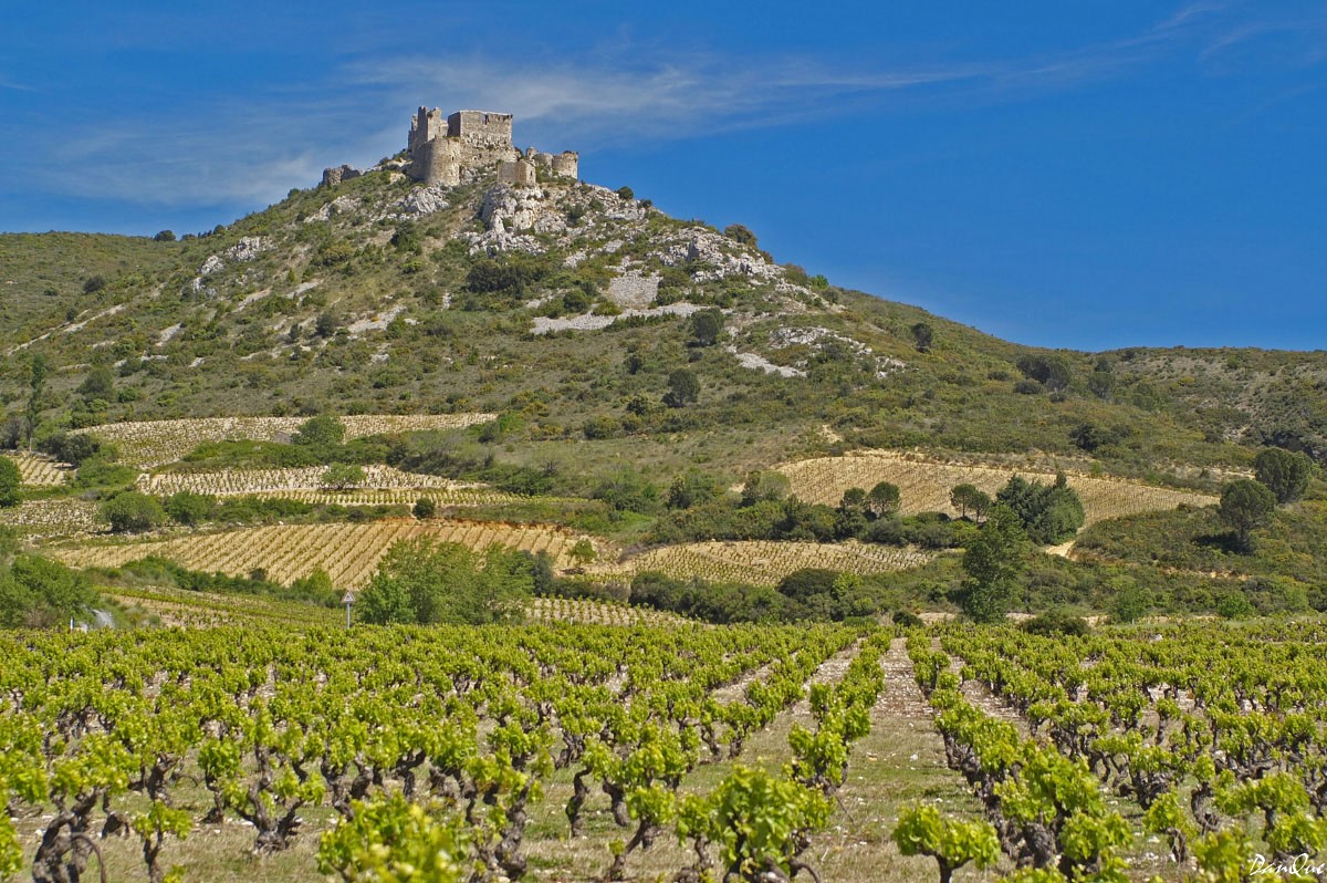 Wallpapers Trips : Europ France > Languedoc-Roussillon Chateau Cathare