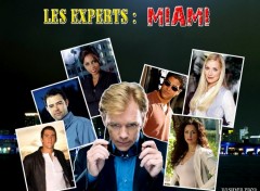 Fonds d'cran Sries TV Les experts: miami