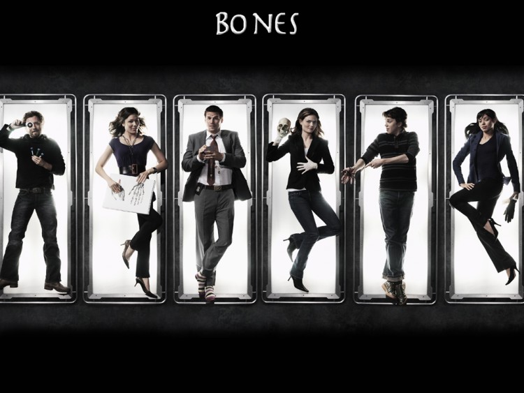 Fonds d'cran Sries TV Bones Bones cast