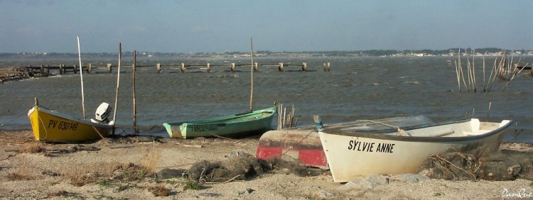 Wallpapers Trips : Europ France > Languedoc-Roussillon Etang de Bages