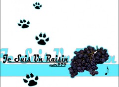 Wallpapers Digital Art ♪ Je Suis Un Raisin ♪