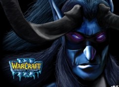 Fonds d'cran Jeux Vido Illidan