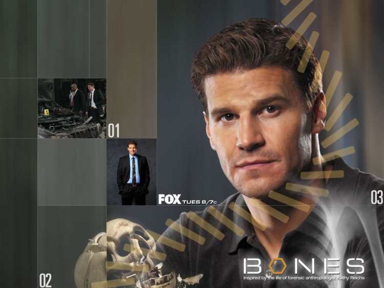 Fonds d'cran Sries TV Bones Booth