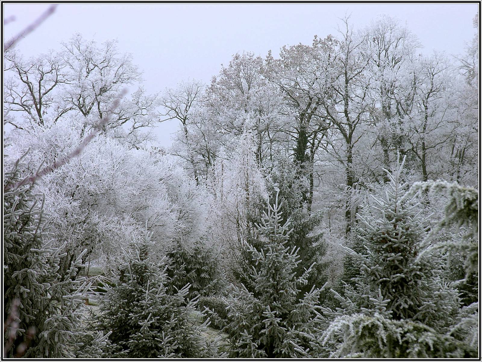 Wallpapers Nature Saisons - Winter Charme de l'hiver