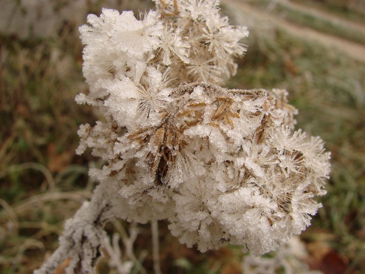 Fonds d'cran Nature Saisons - Hiver Brrr