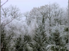 Fonds d'cran Nature Charme de l'hiver