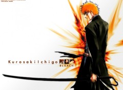 Wallpapers Manga ichigo en mode bankai