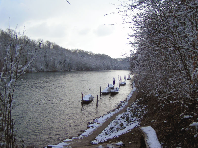 Fonds d'cran Nature Eau Les Chutes Du Rhin