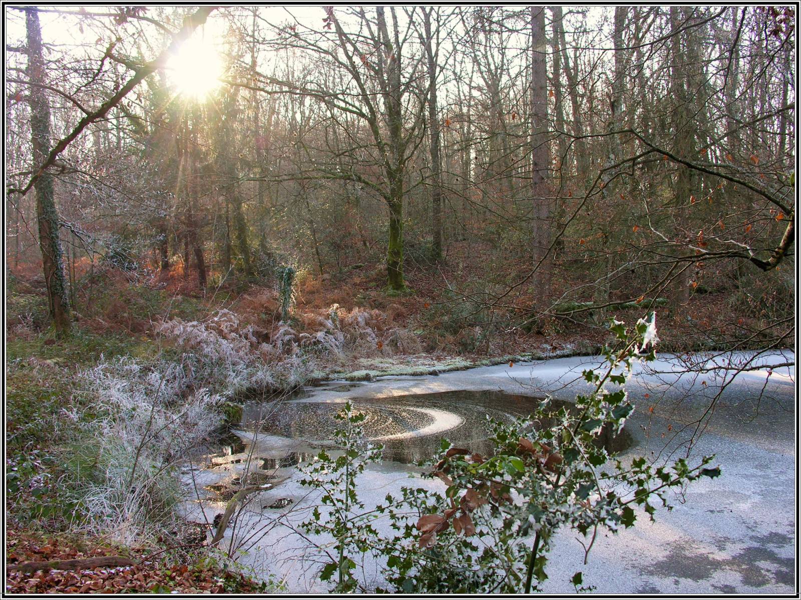 Fonds d'cran Nature Saisons - Hiver Dtente hivernale