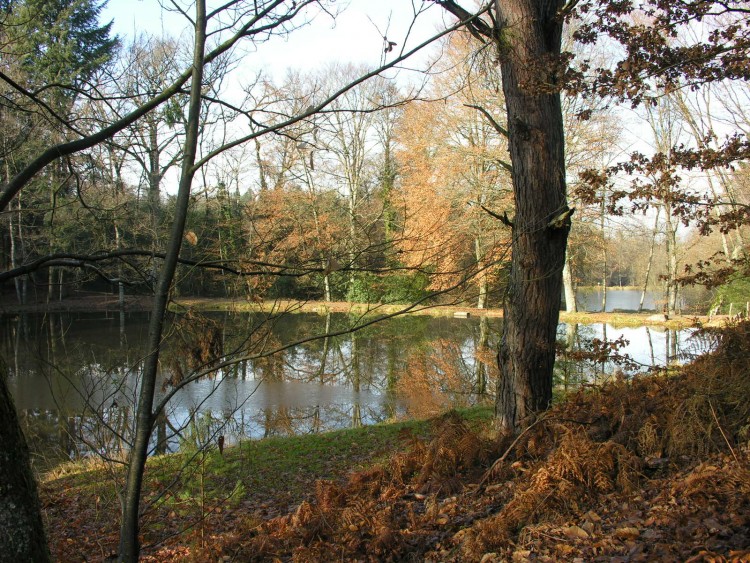 Fonds d'cran Nature Paysages oxygnation