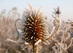 Fonds d'cran Nature Image sans titre N160231