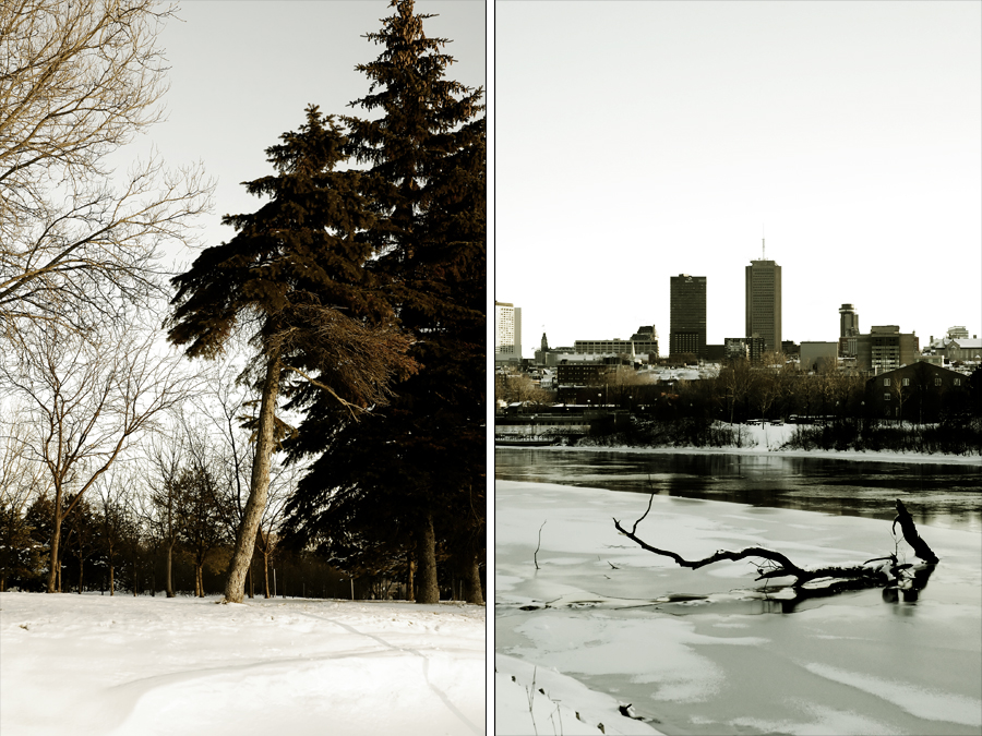 Fonds d'cran Nature Arbres - Forts Entre Deux Branches.