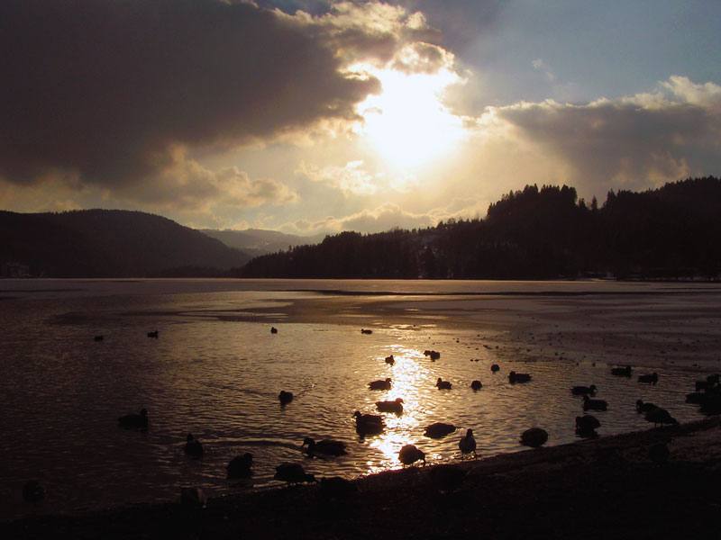 Fonds d'cran Nature Couchers et levers de Soleil Lac du Titisee (Allemagne)