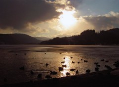 Fonds d'cran Nature Lac du Titisee (Allemagne)