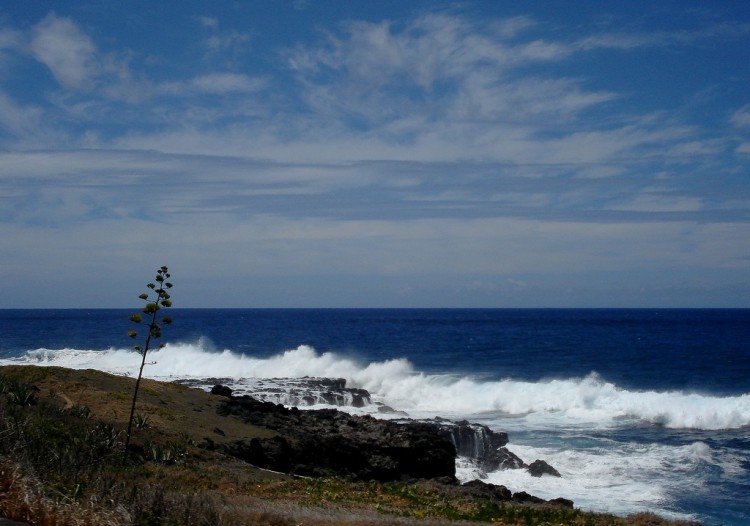 Fonds d'cran Nature Mers - Ocans - Plages OCEAN