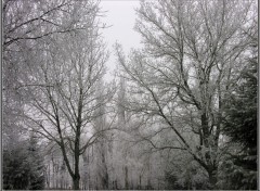 Fonds d'cran Nature Blancheur d'un paysage