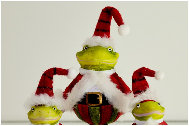 Wallpapers Objects Christmas decoration Le Noel d'un Frog