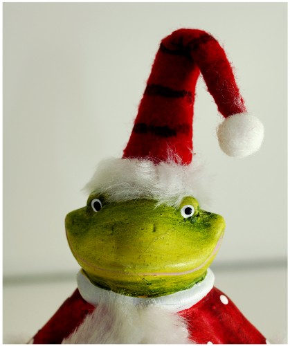 Wallpapers Objects Christmas decoration Le Noel d'un Frog