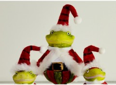 Fonds d'cran Objets Le Noel d'un Frog