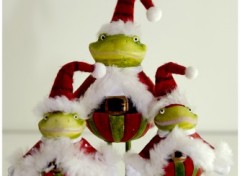 Wallpapers Objects Le Noel d'un Frog