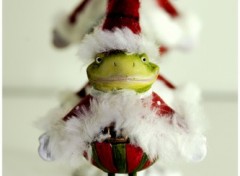 Fonds d'cran Objets Le Noel d'un Frog