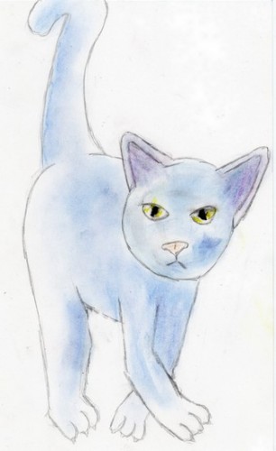 Fonds d'cran Art - Crayon Animaux - Chats Chat bleu