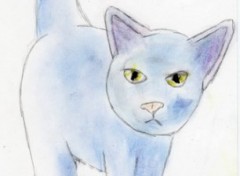 Fonds d'cran Art - Crayon Chat bleu