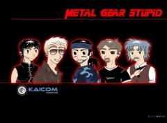 Fonds d'cran Jeux Vido Metal Gear Stupid