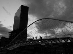 Wallpapers Constructions and architecture Bilbao moderne