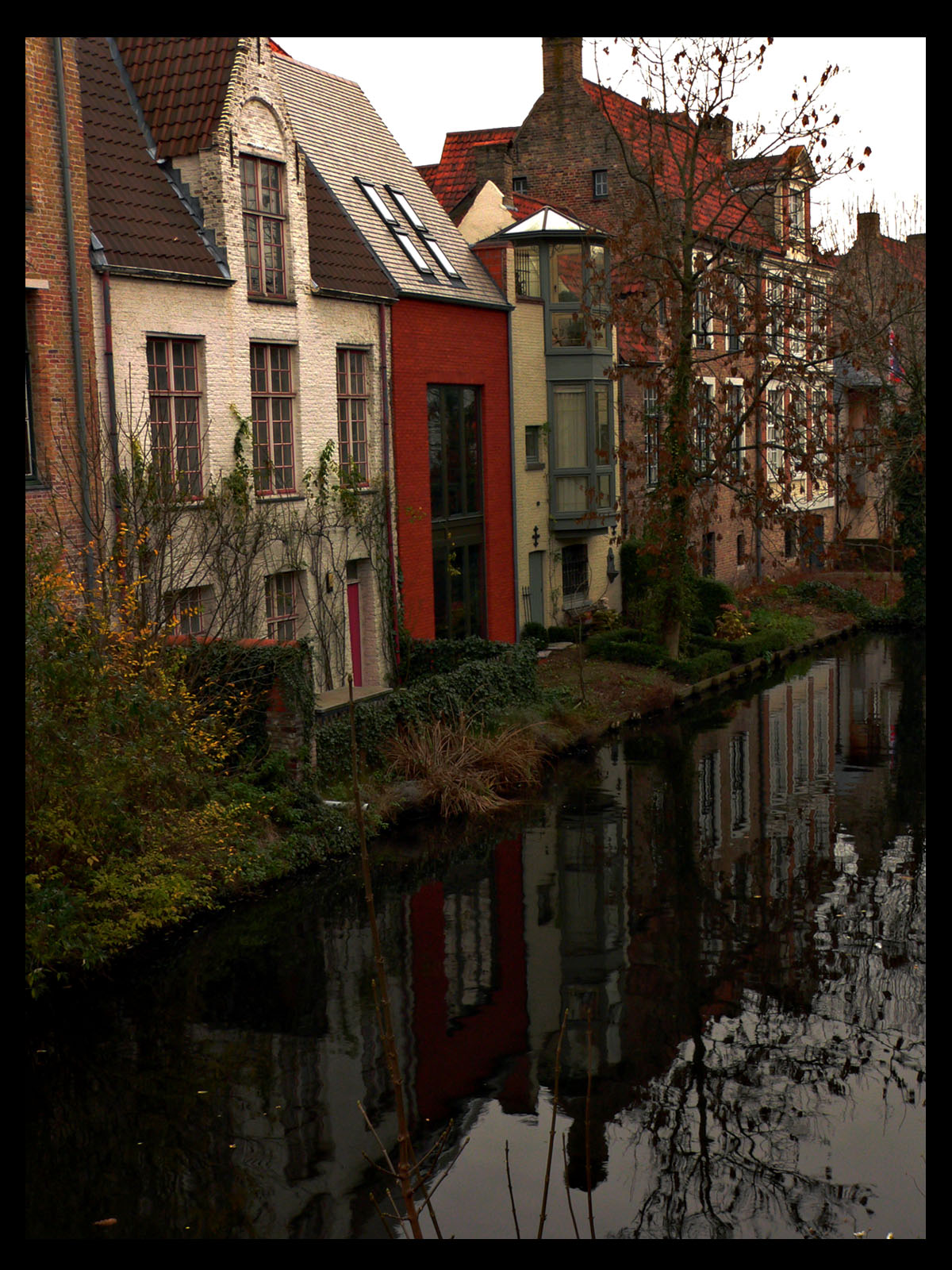 Wallpapers Nature Water - Reflection la venise du nord