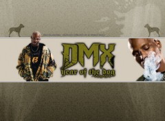 Wallpapers Music Dmx - Year Of The Dog