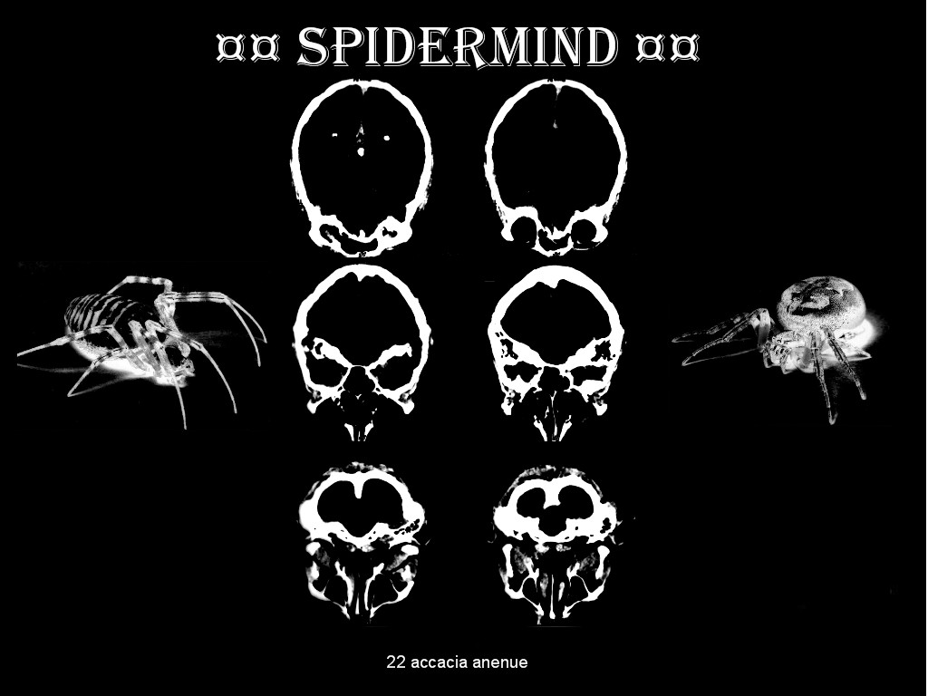 Wallpapers Digital Art Style Dark spidermind