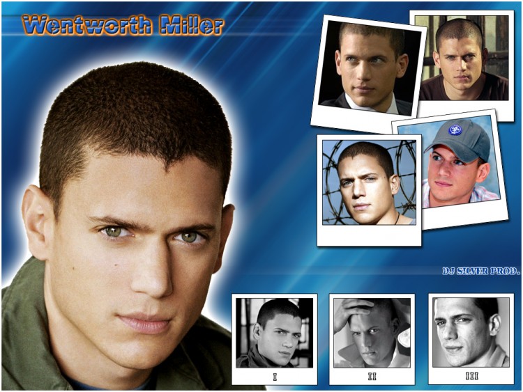 Fonds d'cran Clbrits Homme Wentworth Miller Wallpaper N160724