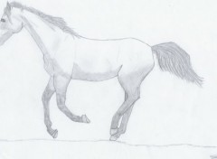 Wallpapers Art - Pencil Cheval au Galop