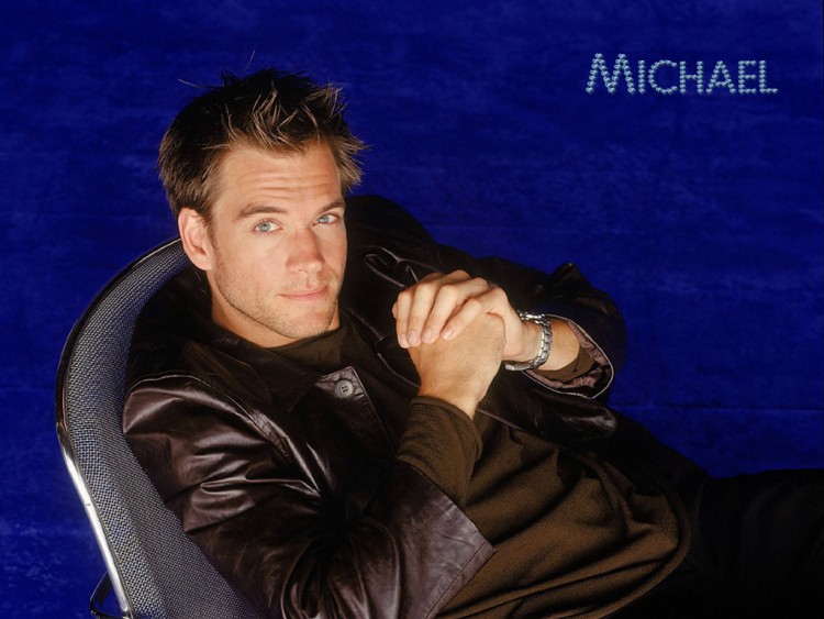 Fonds d'cran Clbrits Homme Michael Weatherly Michael W