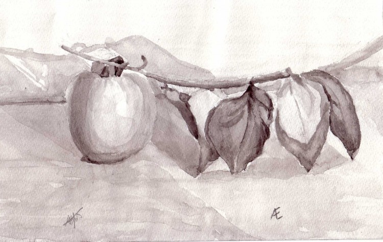 Wallpapers Art - Painting Fruits Grenade-aquarelle...